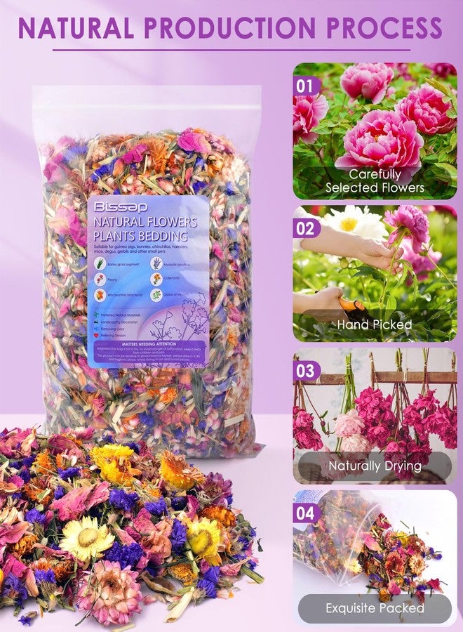 Bissap Natural Flower & Herb Hamster Bedding 300g/10.5oz, Small Animal Flower Habitat Decor for Syrian Dwarf Hamster Gerbil Chinchilla Mice Degu and Other Small Pet Flower Bedding Odor Control Forage - Image 5